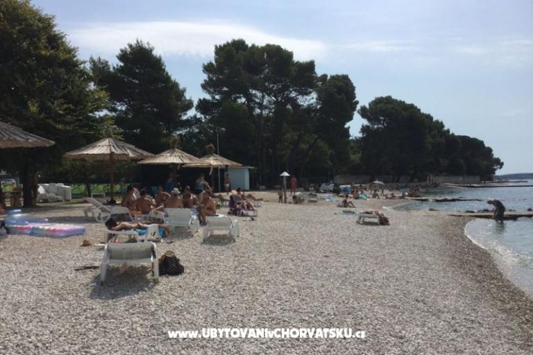 Apartmaji MiBi – foto 14