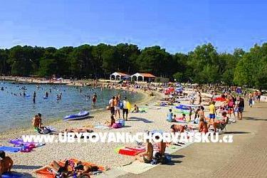Apartma Zoran - Valbandon  – foto 16