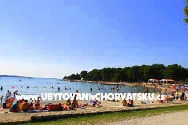 Apartma Zoran - Valbandon  – foto 17