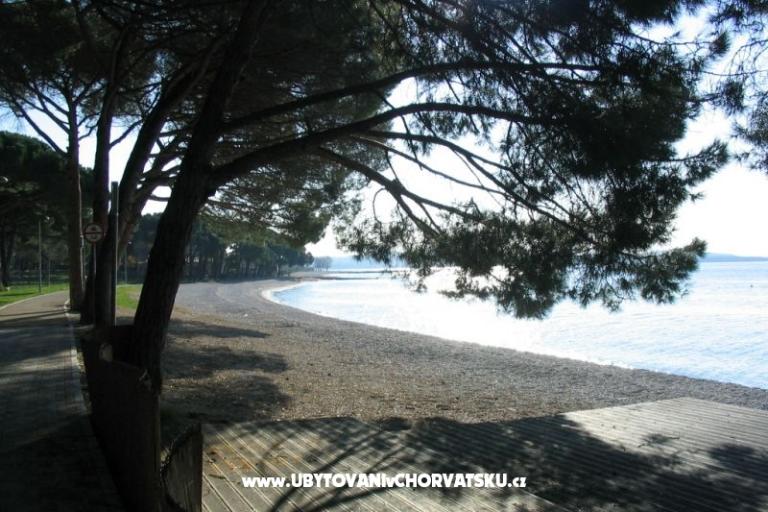 Apartma Oliva – foto 14