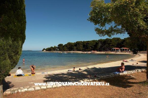 Apartmaji PETRA – foto 15