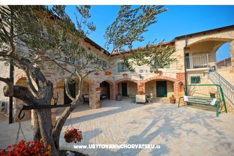 Ancient Dalmatian Apartmaji – foto 10
