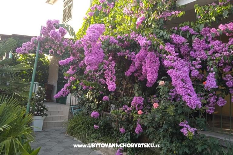 Apartmaji Majica – foto 6