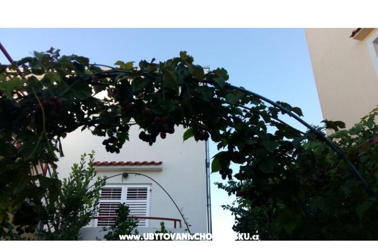 Apartmaji Matej – foto 14