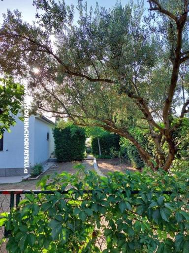 Počitniški dom - Apartma Milka – foto 13