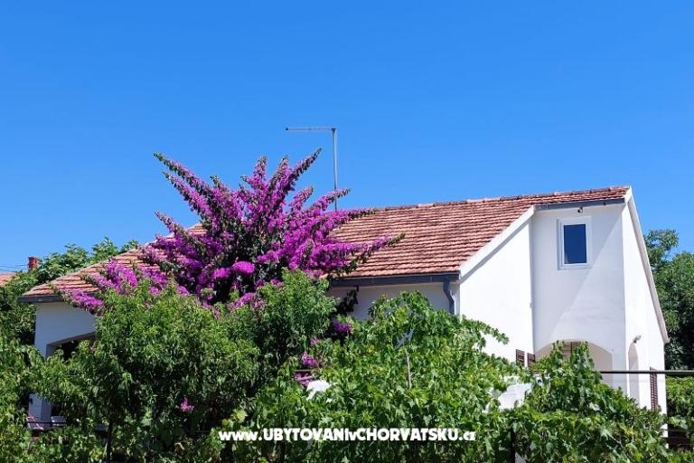 Počitniški dom - Apartma Milka – foto 2