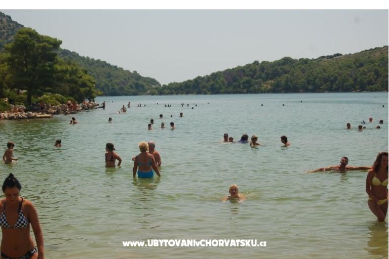 Apartma   " ARZENŠEK " – foto 10