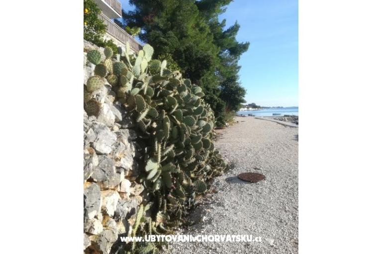 Apartmaji Colić – foto 18