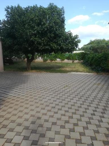 Apartmaji Colić – foto 3