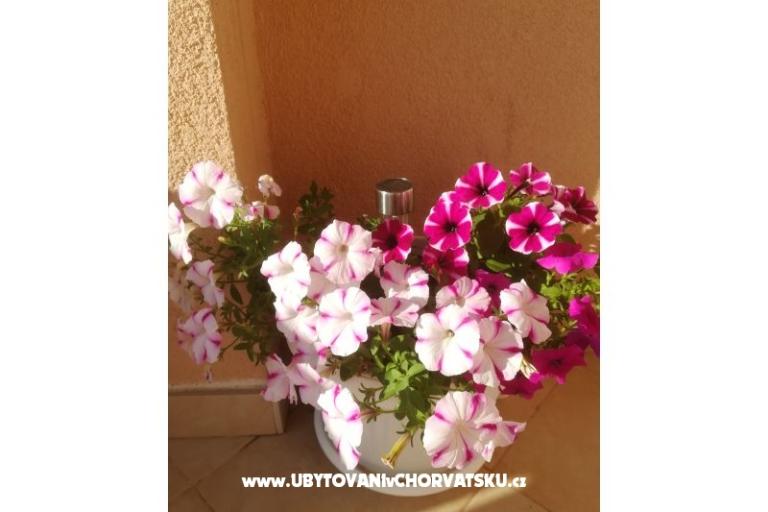 Apartmaji Colić – foto 9
