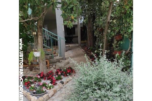 Apartmaji Ela – foto 17