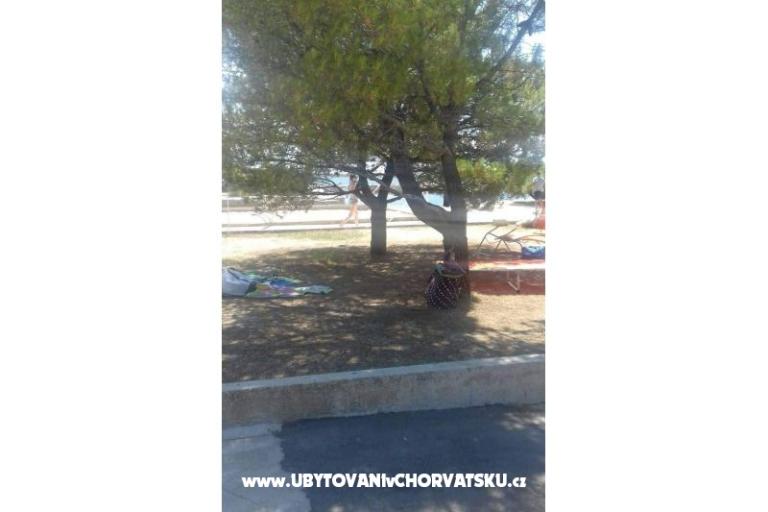 Apartmaji Lada – foto 17