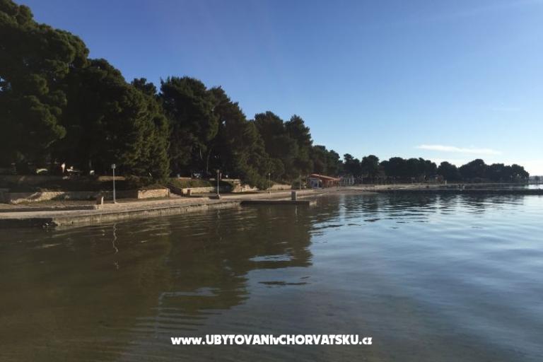 Apartmaji Marina – foto 16