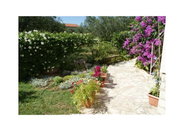 Apartmaji Vodopija 50eur/2 os – foto 6