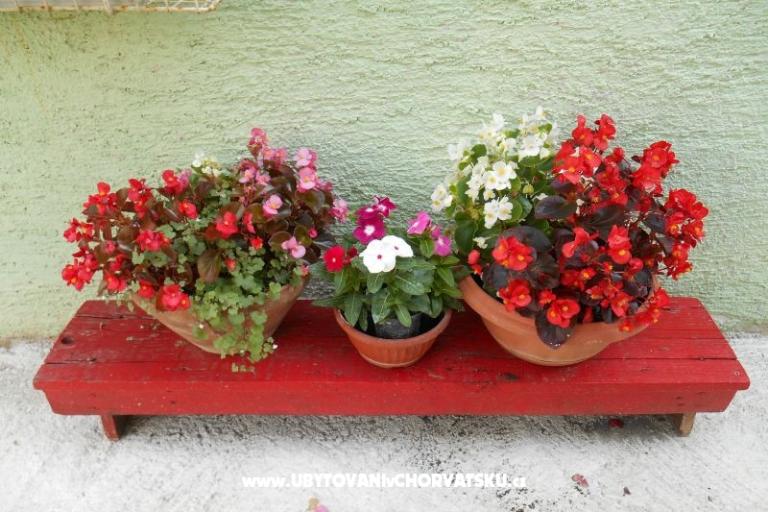 Apartmaji Mirjana – foto 12