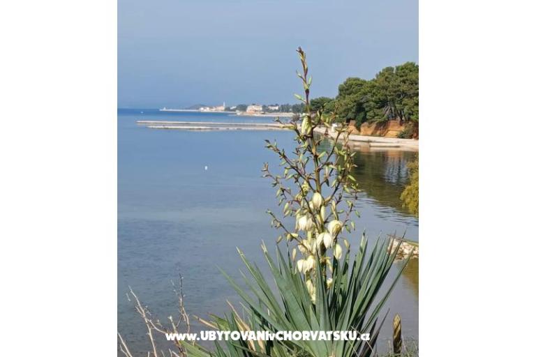 Apartmaji Be-Bu-Mar – foto 13