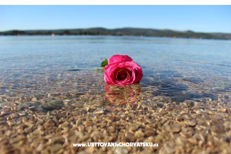 Beach Hiša Amarella – foto 14