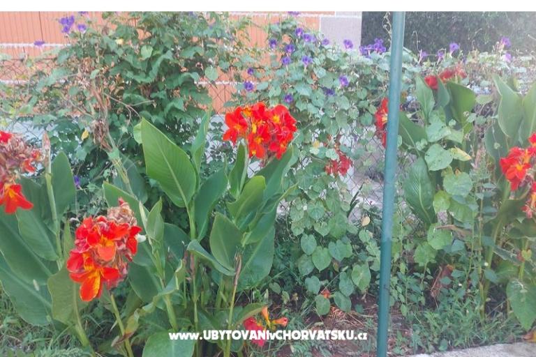 Apartmaji Misulic Turanj – foto 16