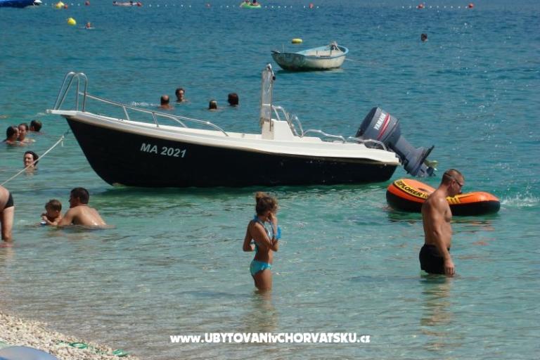 Apartmaji Anči – foto 12