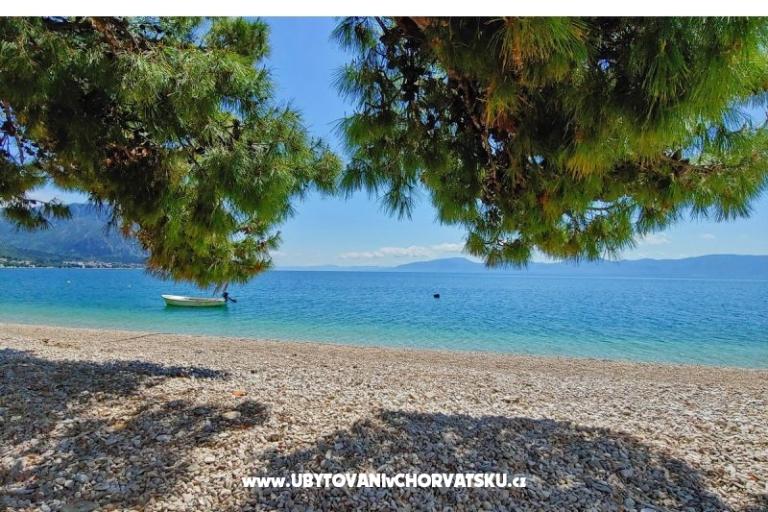 Apartmaji Anči – foto 13