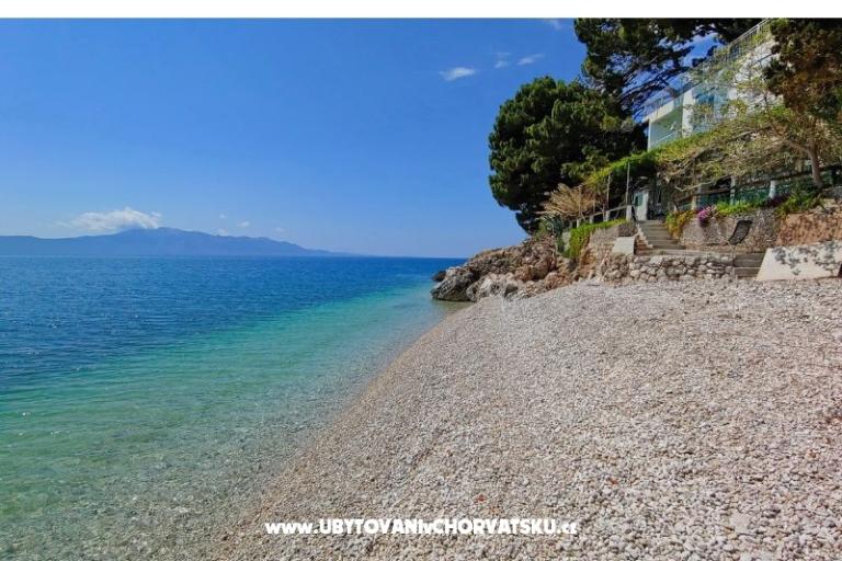 Apartmaji Anči – foto 16