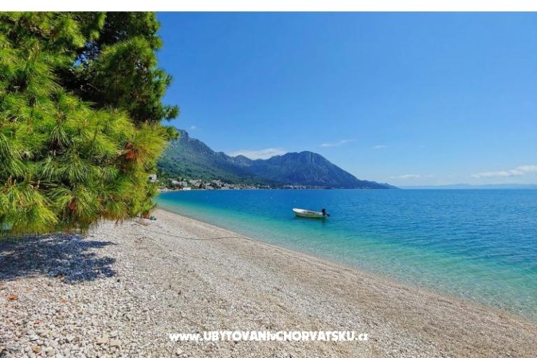 Apartmaji Anči – foto 17