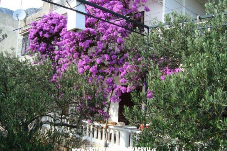 Apartma Gradac Falak – foto 13