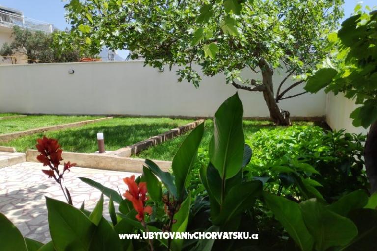 Apartmaji Aničić – foto 15