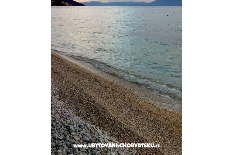 Apartmaji Delfin – foto 17