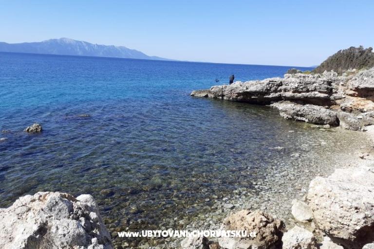 Apartmaji lujo – foto 10