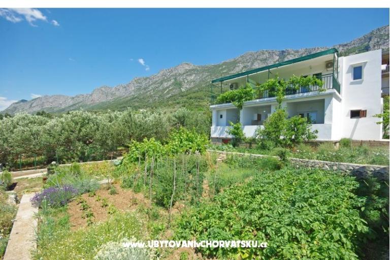 Apartmaji i sobe Maslina – foto 12