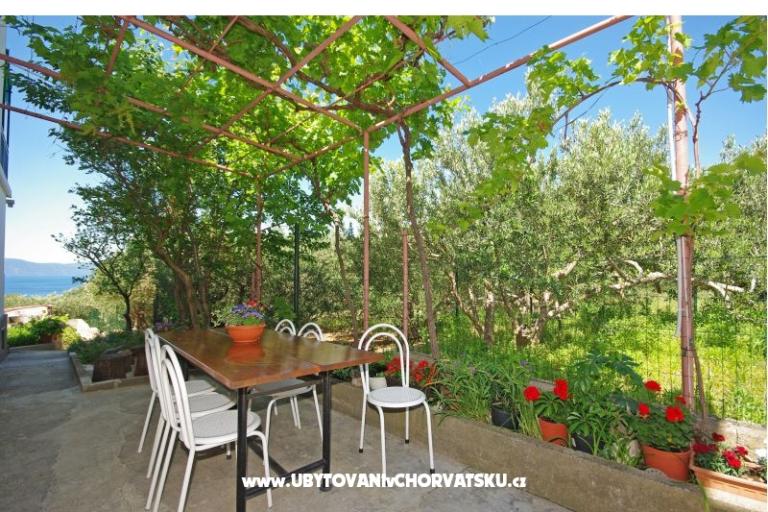 Apartmaji i sobe Maslina – foto 16