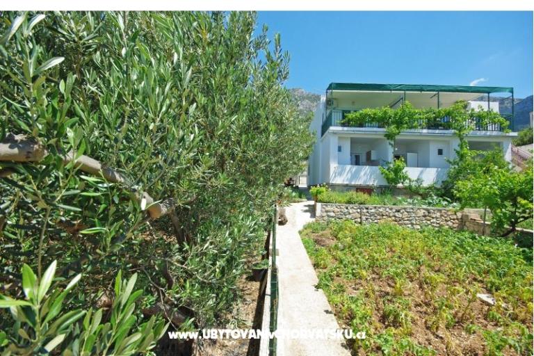 Apartmaji i sobe Maslina – foto 9