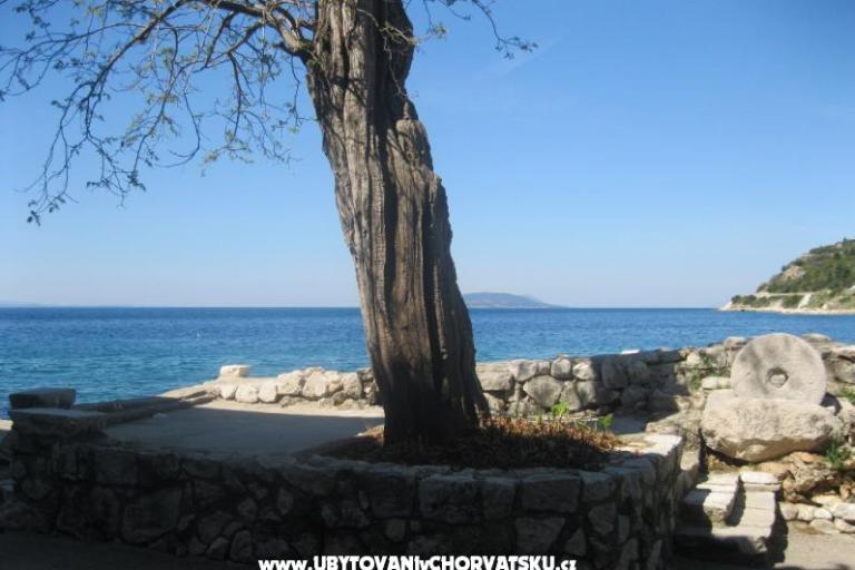 Apartma Ines – foto 9