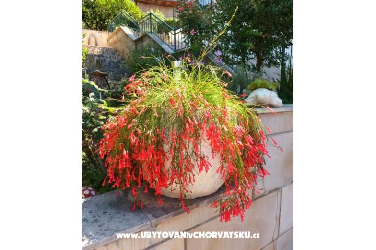 Apartmaji Ivana  – foto 19