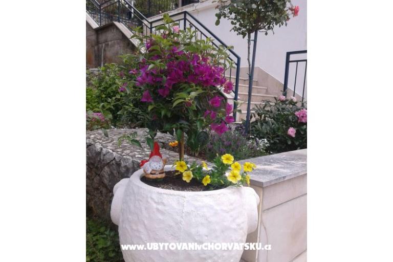 Apartmaji Ivana  – foto 26