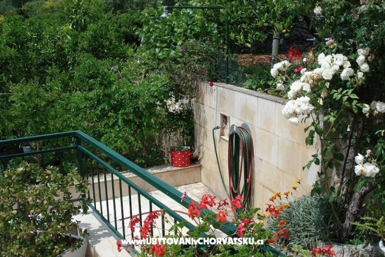 Apartmaji Ivana  – foto 4