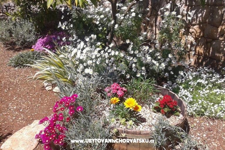 Apartmaji Ivana  – foto 8