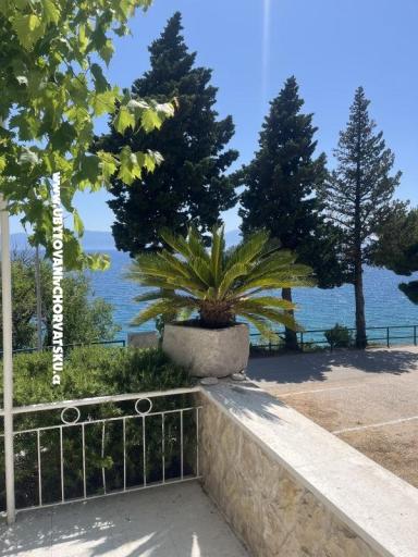 Apartmaji NIKOLA – foto 3