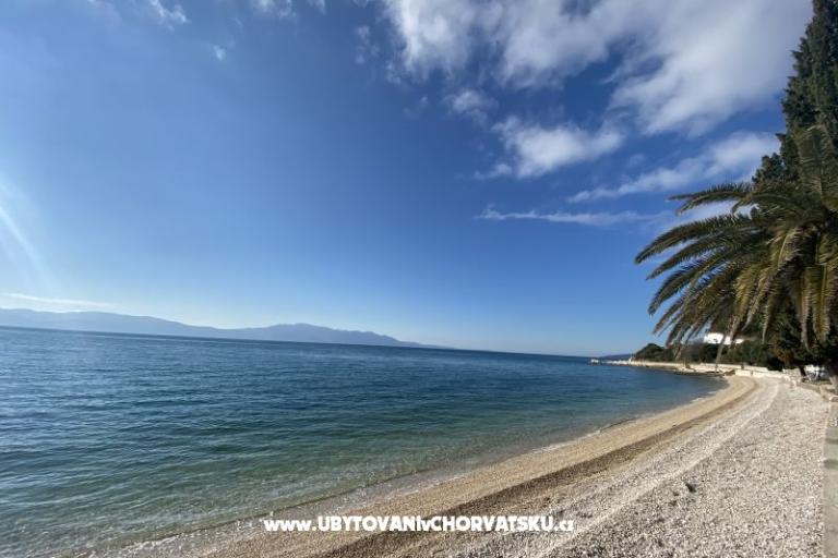 Apartmaji Pjer – foto 12