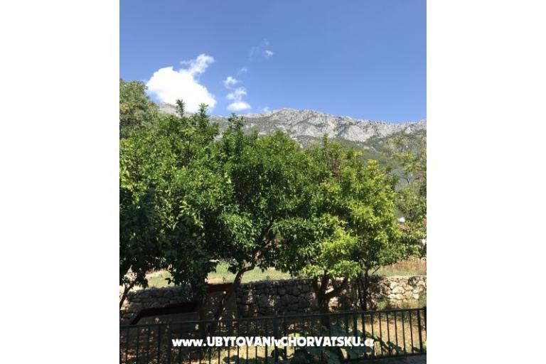 Apartmaji Franko-Roko – foto 10