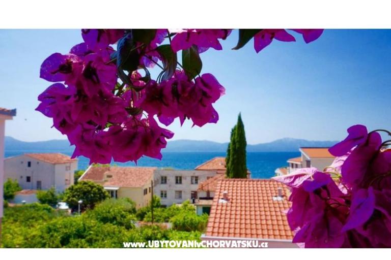 Apartmaji Jerković Gradac – foto 7
