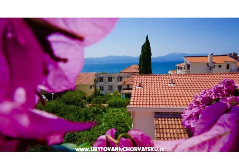 Apartmaji Jerković Gradac – foto 8