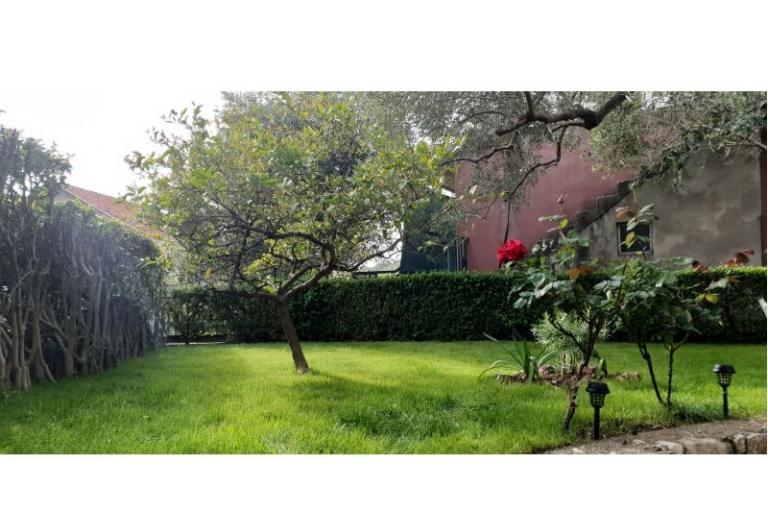Apartma Toth – foto 9