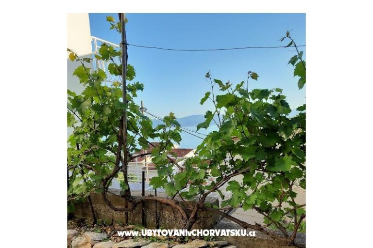 Beach Hiša Buinac – foto 7