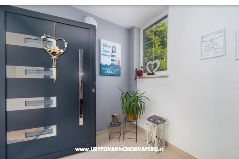 Color Apartmaji Miošić – foto 8