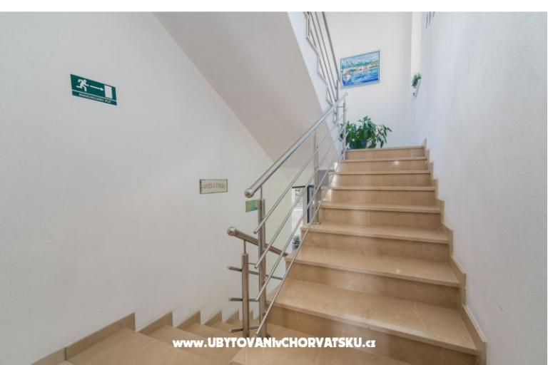 Color Apartmaji Miošić – foto 9