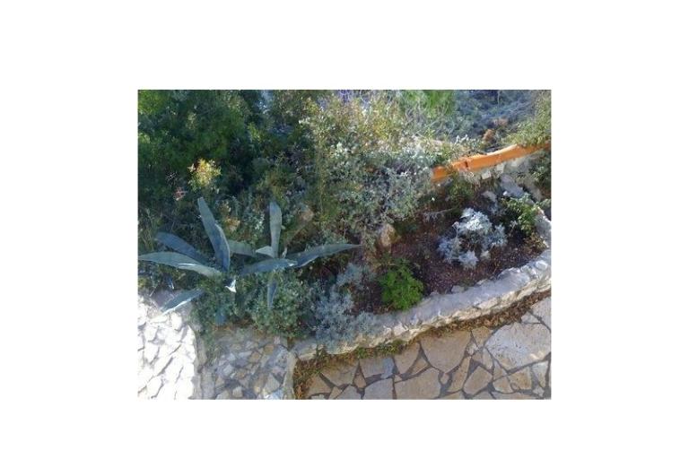 Dijana Beach Hiša – foto 15