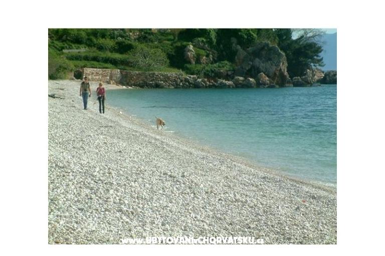 Apartmaji Gradina – foto 11