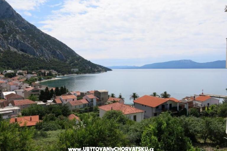 Apartmaji Gradina – foto 5